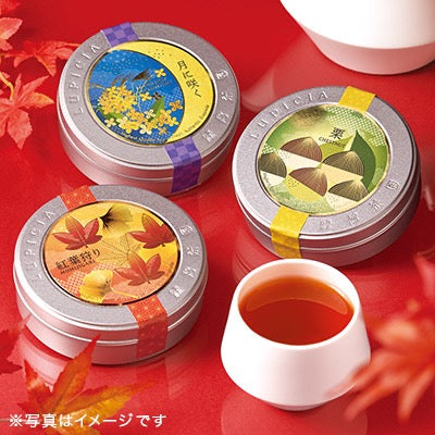 LUPICIA 2023秋季限定桂花红茶