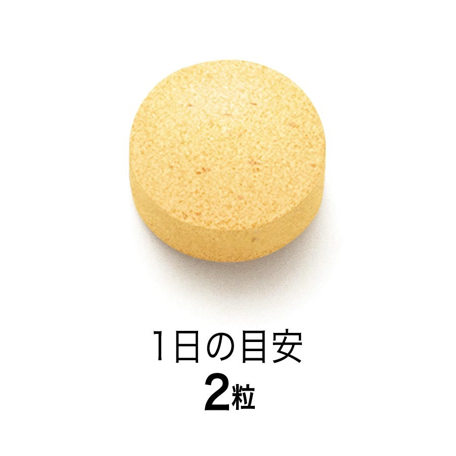 FANCL锌元素片30日份