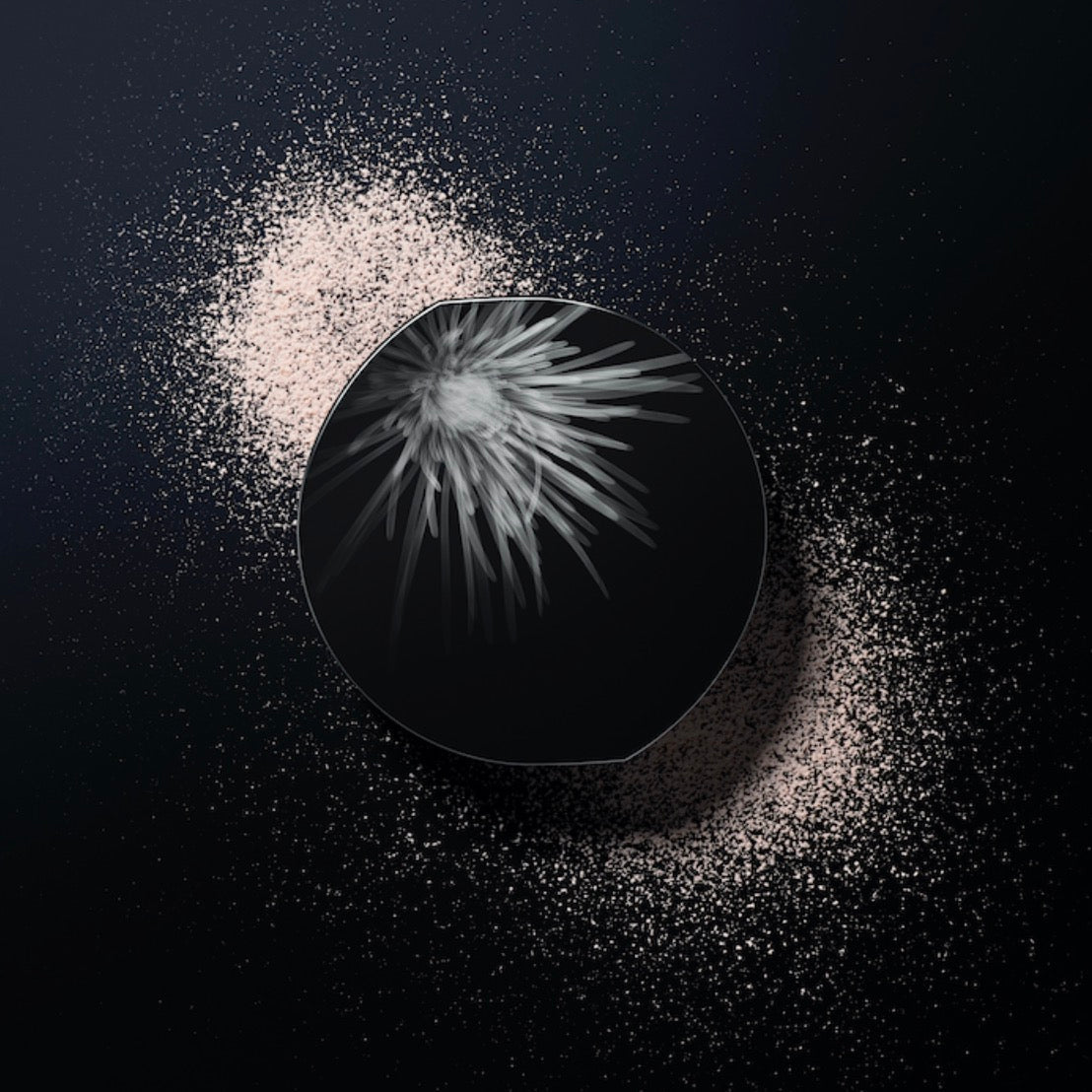 POLA黑BA柔光丝滑散粉16g