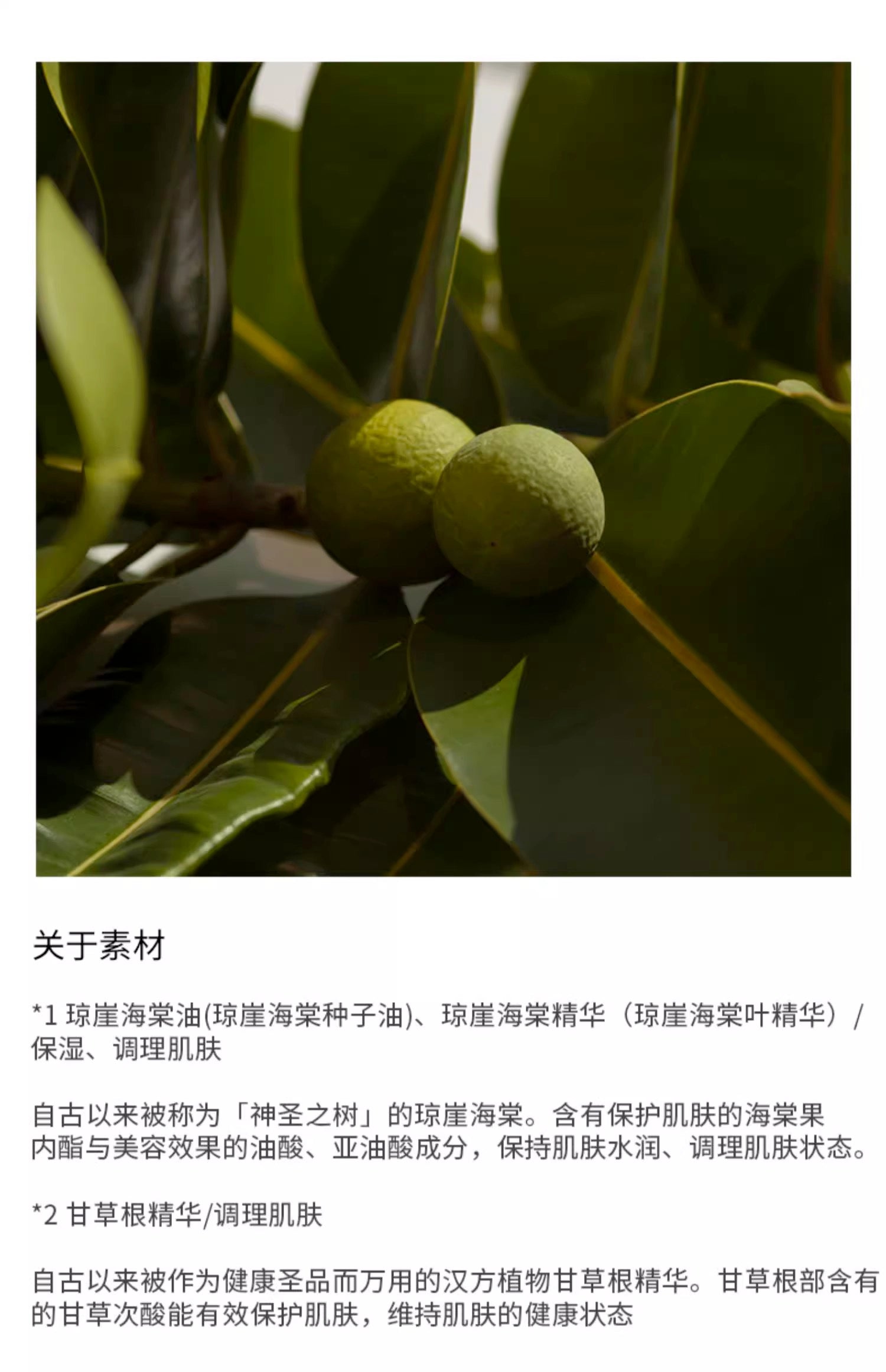 SHIRO海棠卸妆膏90g