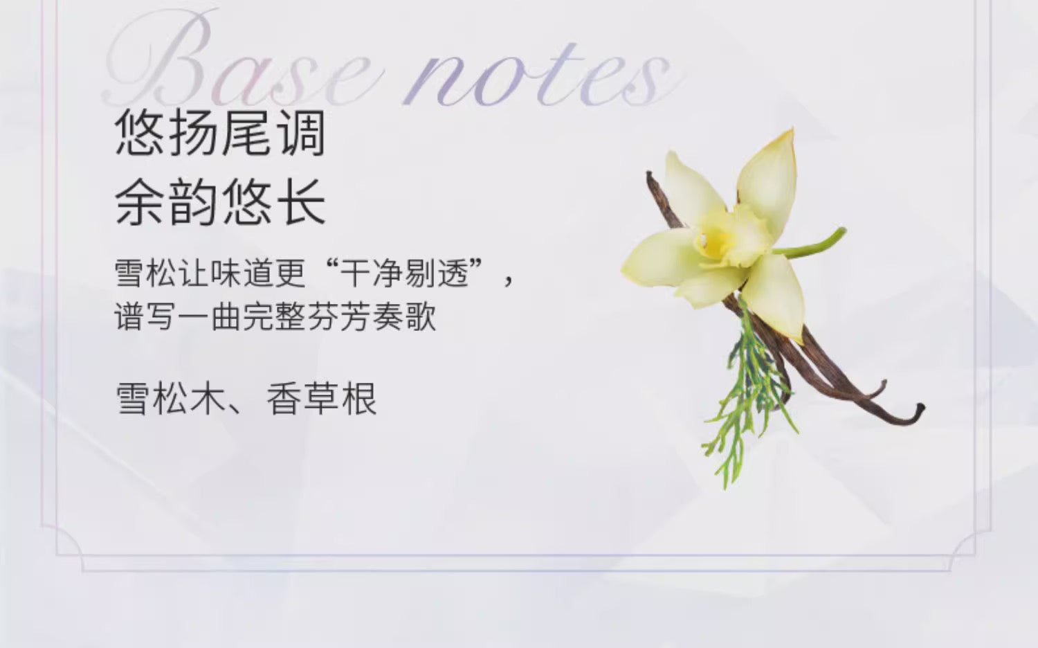 JILLSTUART纯白花漾头皮发用洗护膏280g