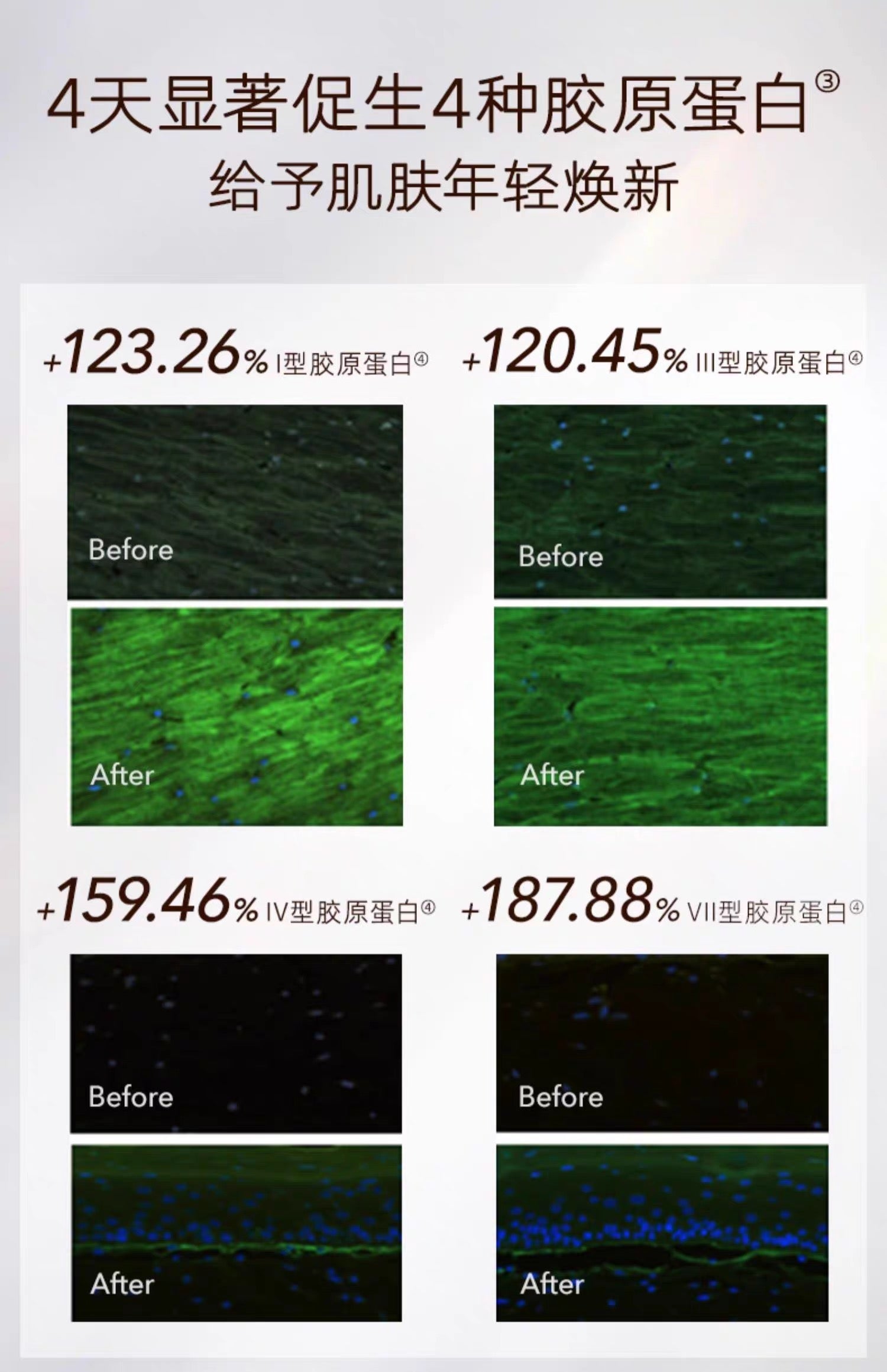 资生堂SHISEIDO怡丽丝尔ELIXIR优悦活颜化妆水170ml