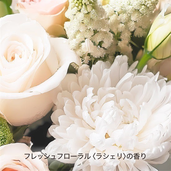 HACCI 2025限定蜂蜜防晒喷雾40ml/80ml