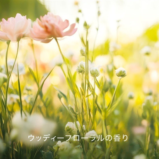 HACCI 2025限定身体防晒精华霜70g