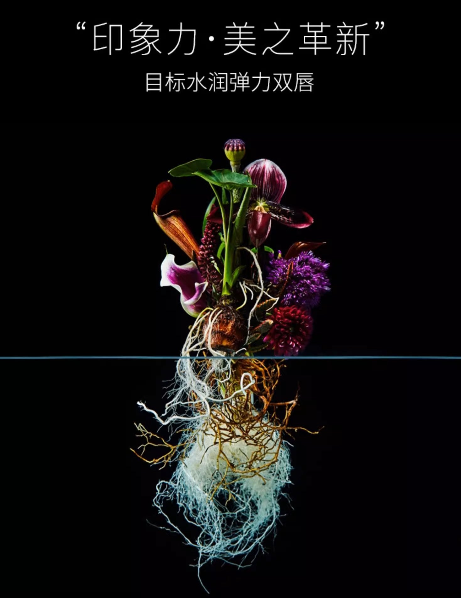 POLA黑BA护唇膏柔润唇膏3.6g