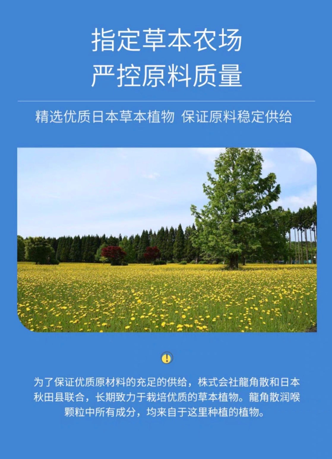 龙角散润喉护嗓颗粒粉末16包装