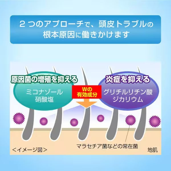 乐敦头皮改善去屑止痒洗发水200ml/320ml