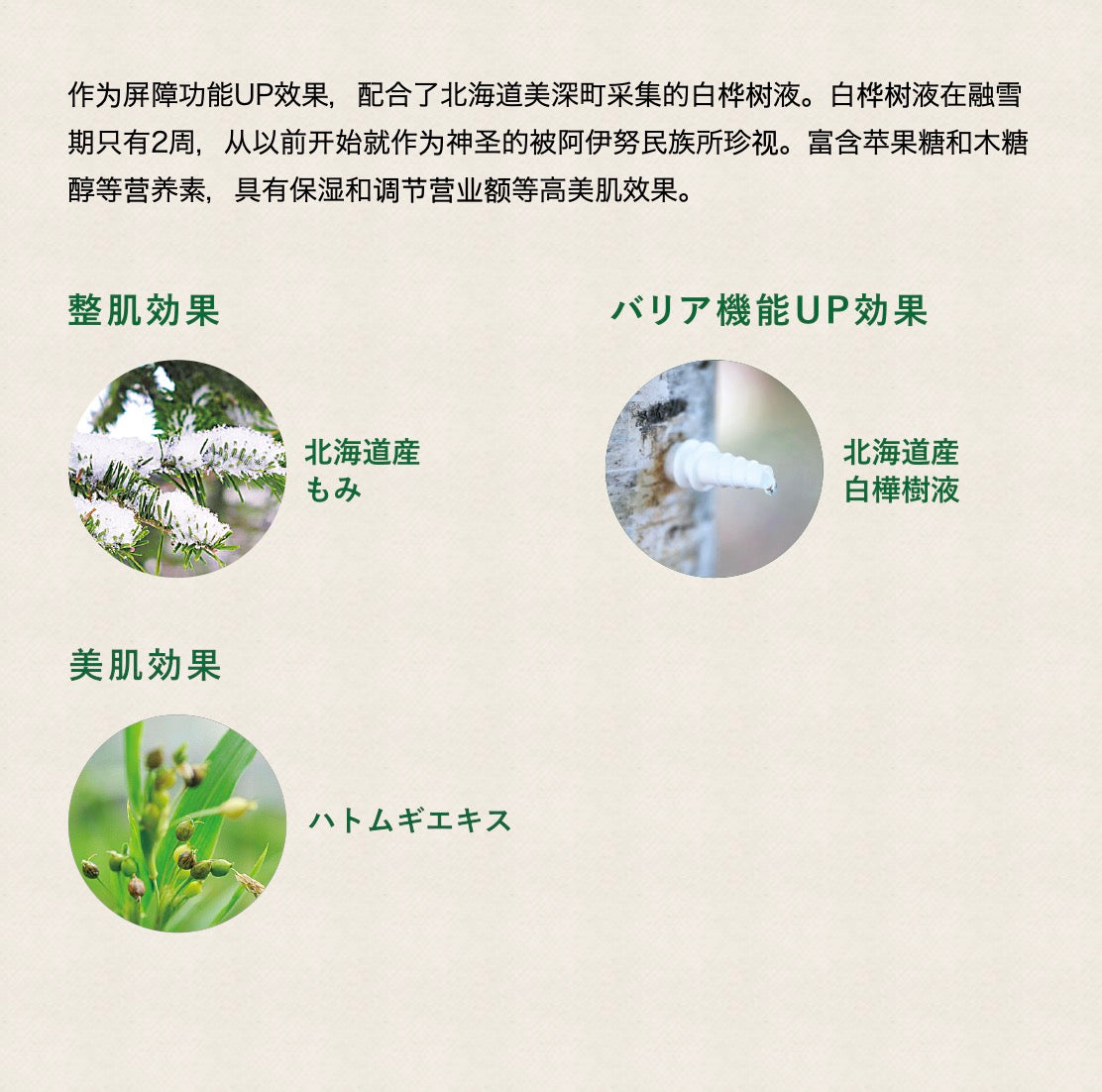 Mama&Kids/Natural Island入浴剂瓶装 300ml 枫树柏树