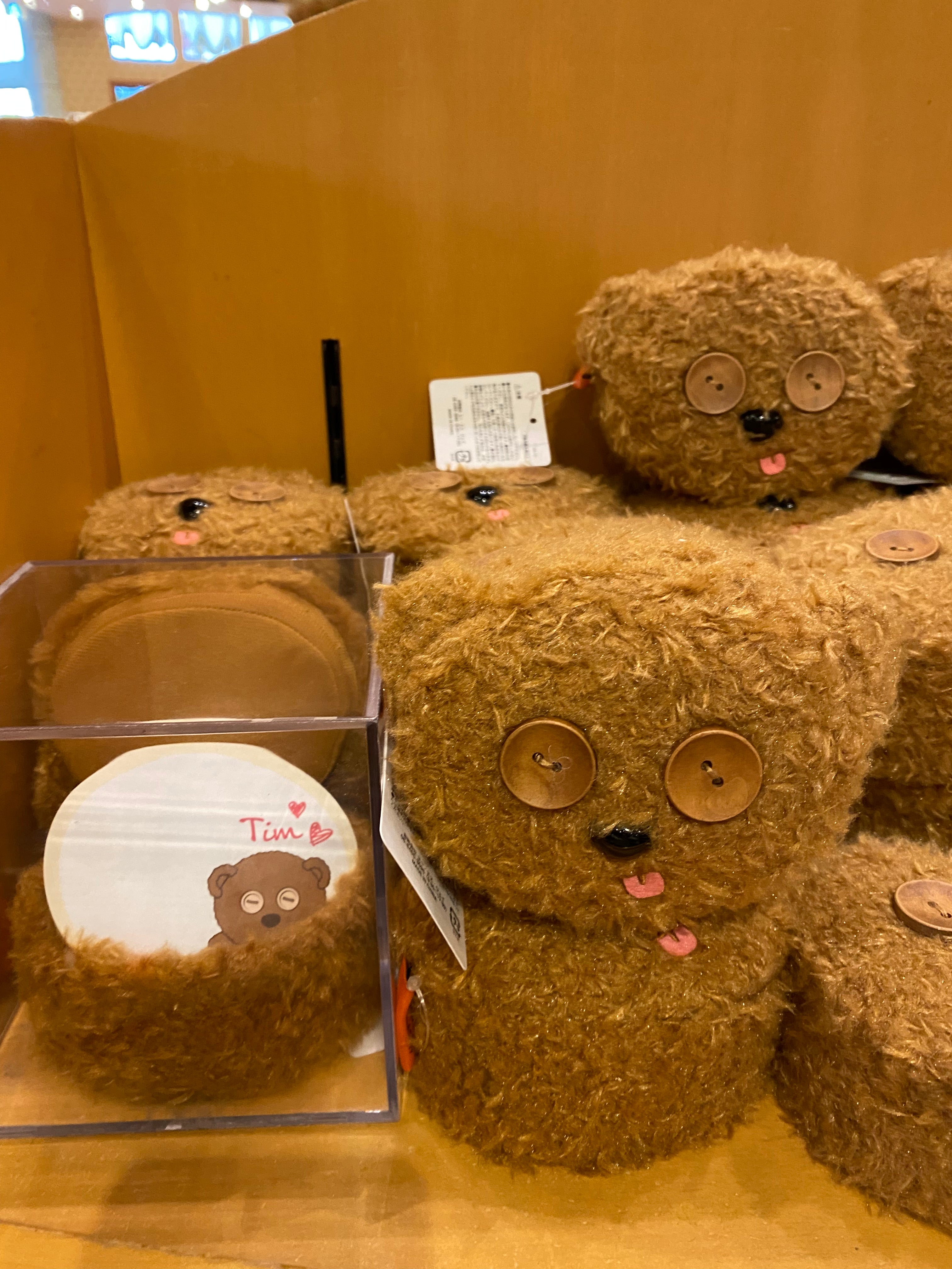 USJ日本环球影城Tim熊收纳盒