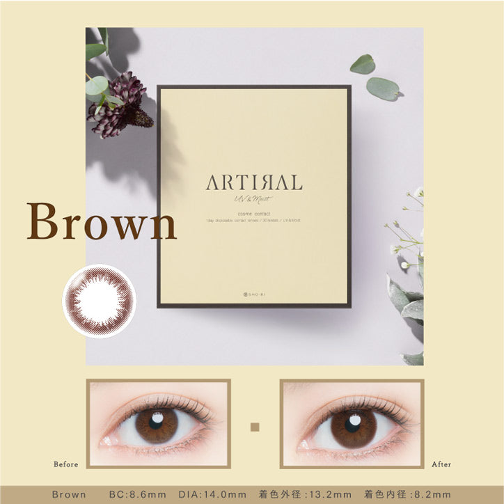 日抛美瞳1DAY ARTIRAL 30片装 Brown