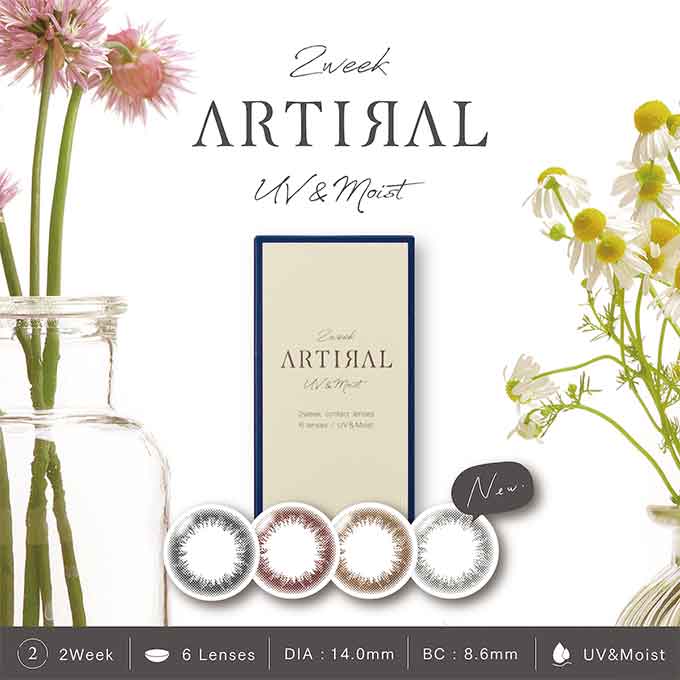 双周抛美瞳2WEEK ARTIRAL 一盒6片装 Brown