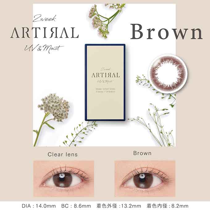 双周抛美瞳2WEEK ARTIRAL 一盒6片装 Brown