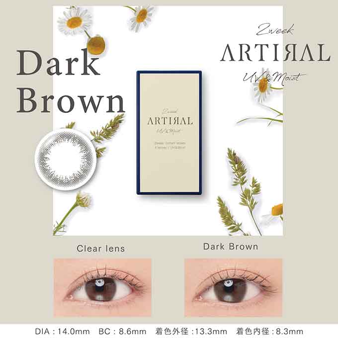 双周抛美瞳2WEEK ARTIRAL 一盒6片装 Dark Brown