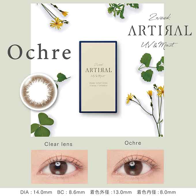 双周抛美瞳2WEEK ARTIRAL 一盒6片装 Ochre