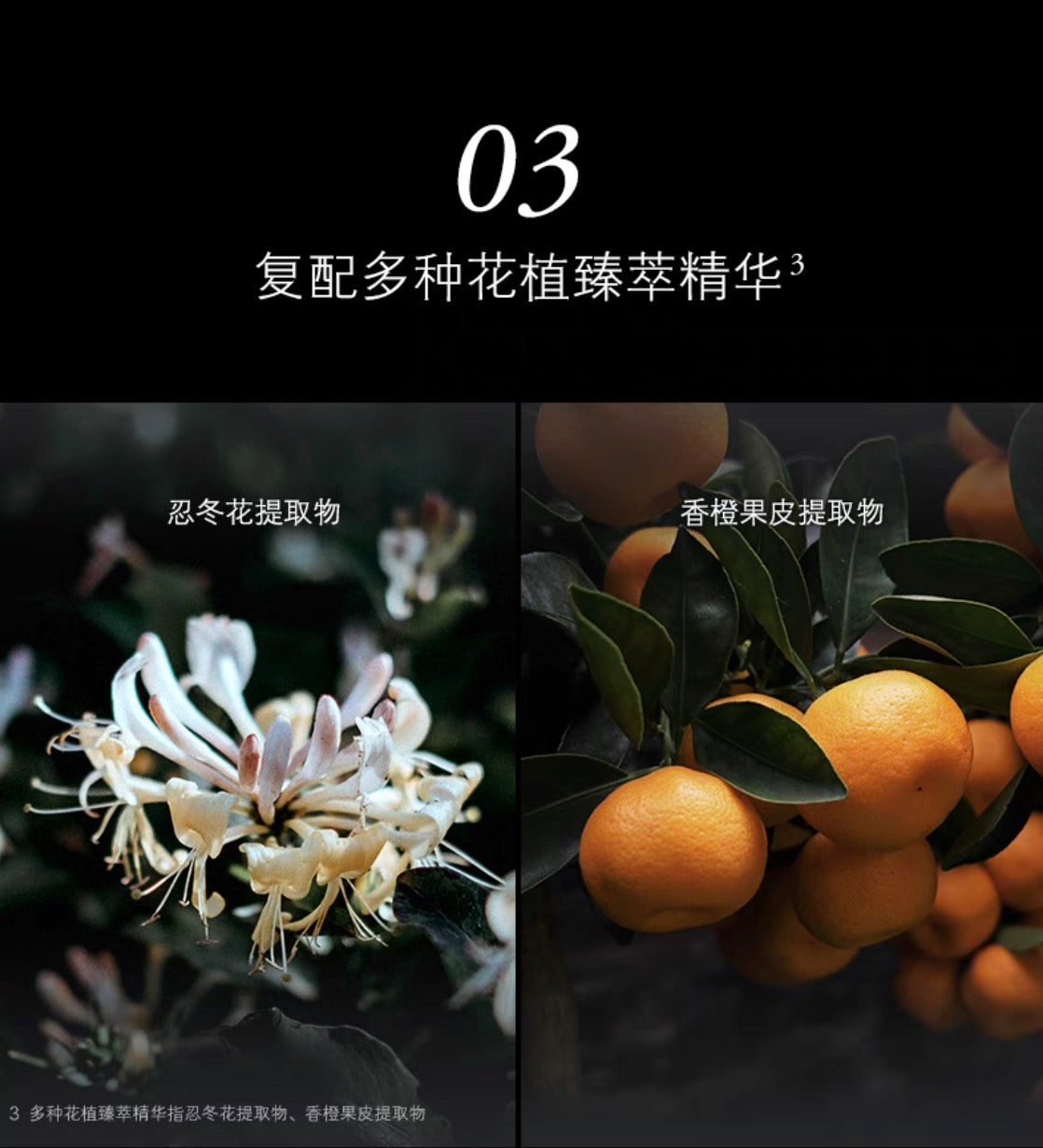 SENSAI丝光溢彩EX眼霜15ml