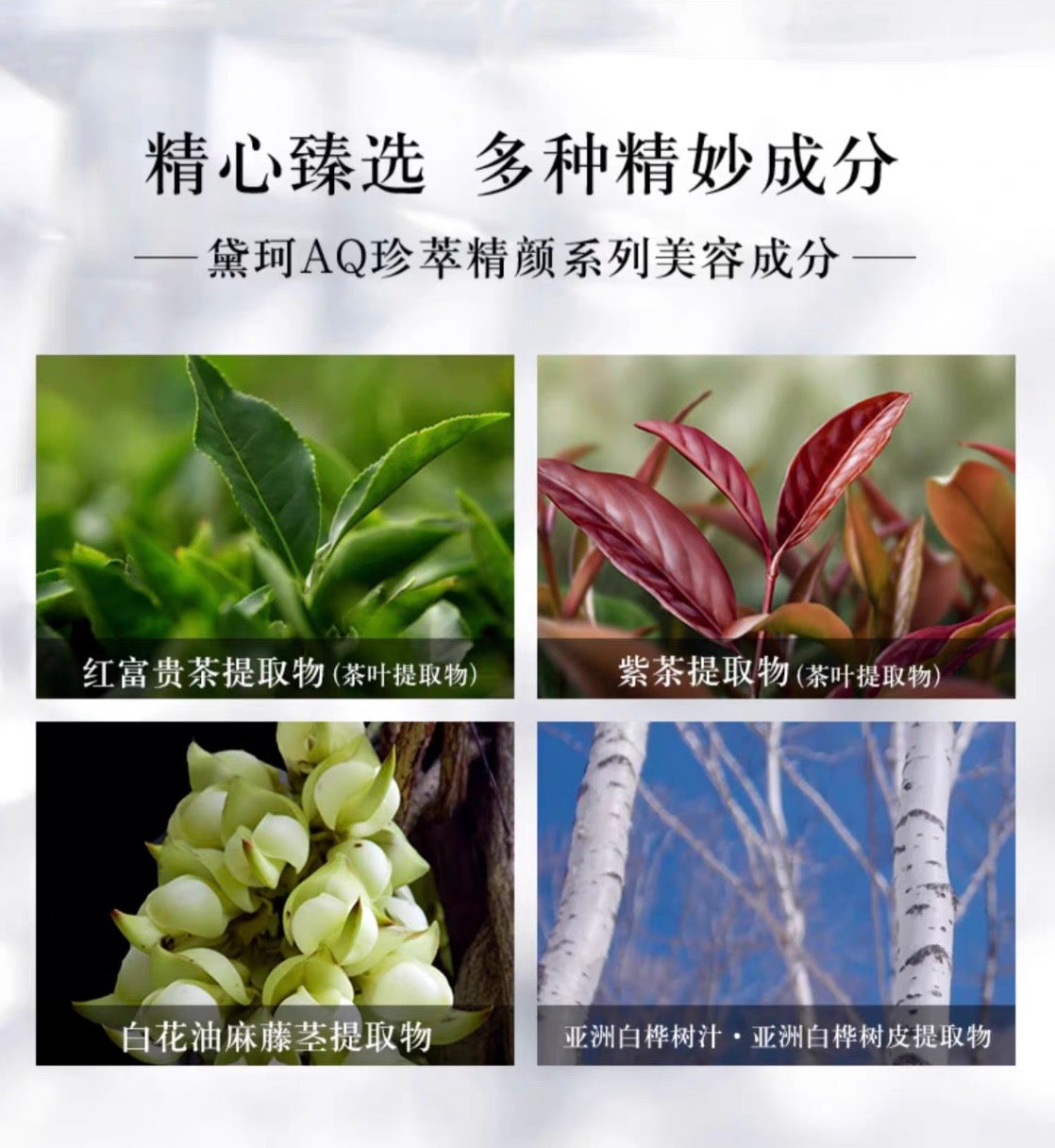 DECORTE黛珂精致洁面200ml