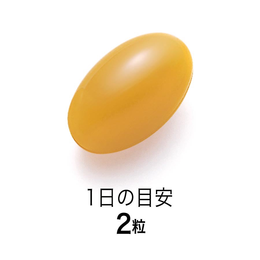 FANCL纳豆精华30日份