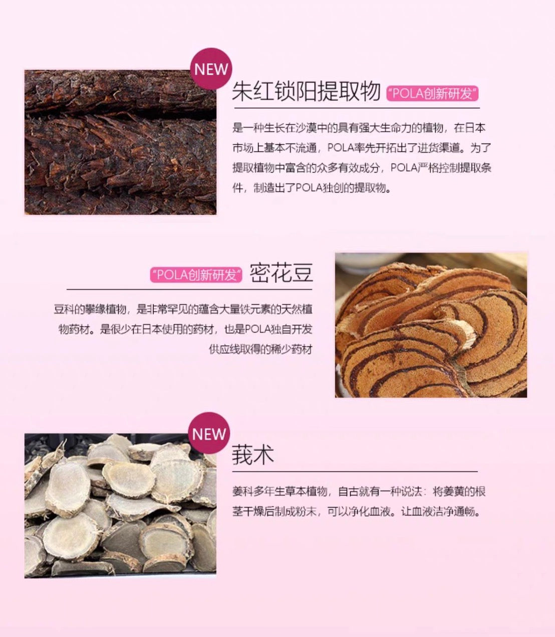 POLA健美三泉补血丸180粒/3个月装