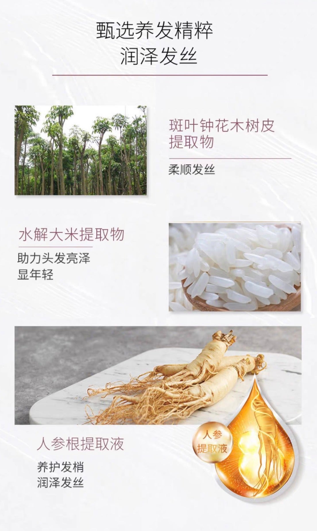 POLA防脱生发黑发洗发水护发素370ml