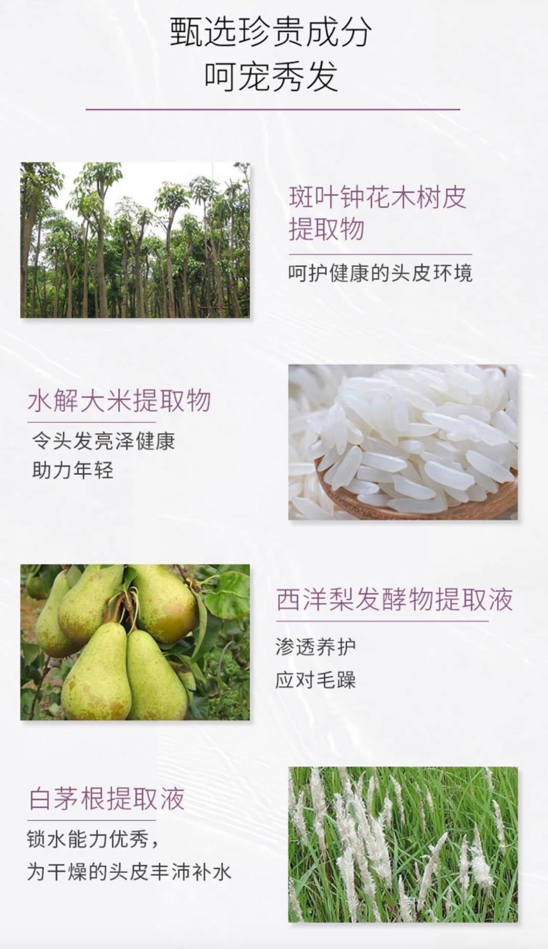 POLA防脱生发黑发洗发水护发素370ml