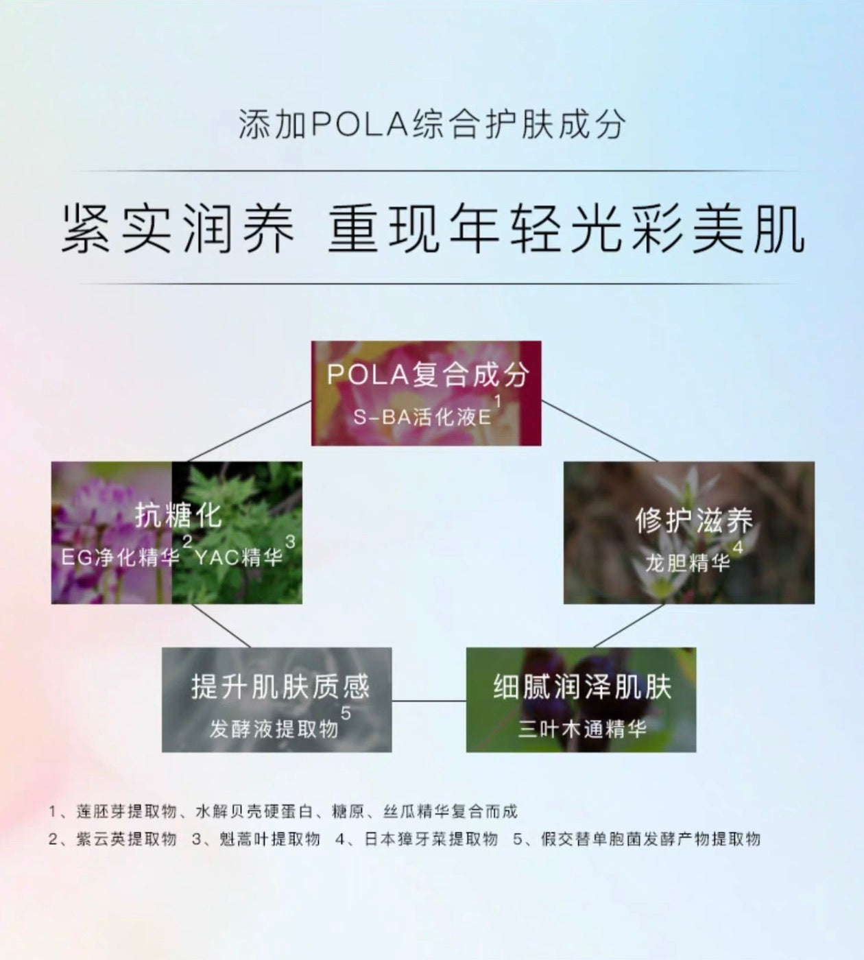 POLA红BA乳霜50g