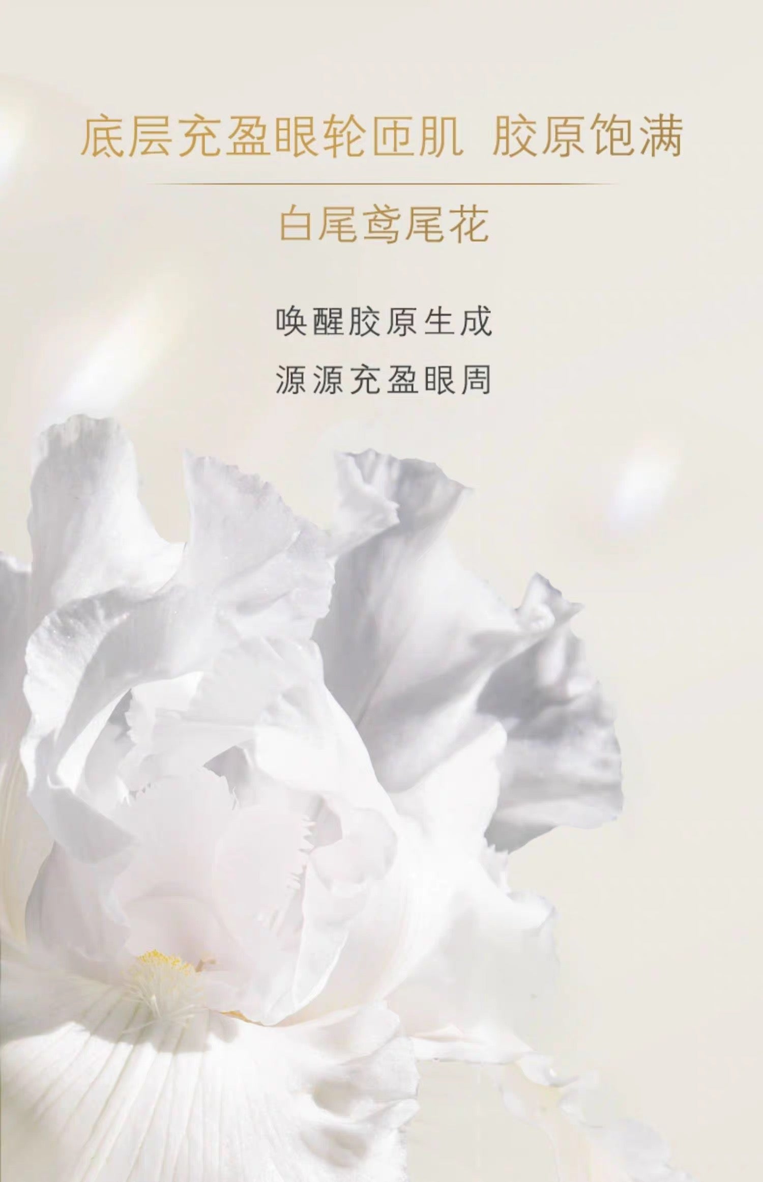 CLE DE PEAU BEAUTE CPB新版4D精雕眼霜15g