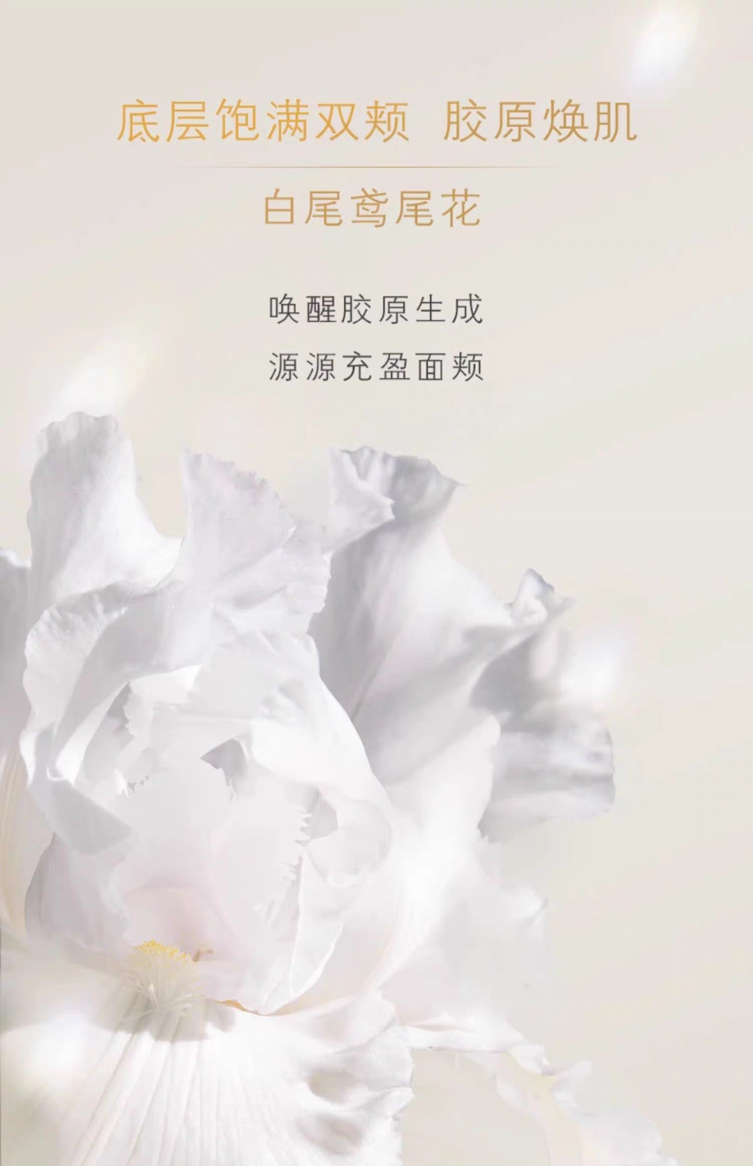CLE DE PEAU BEAUTE CPB 4D精雕面霜50g