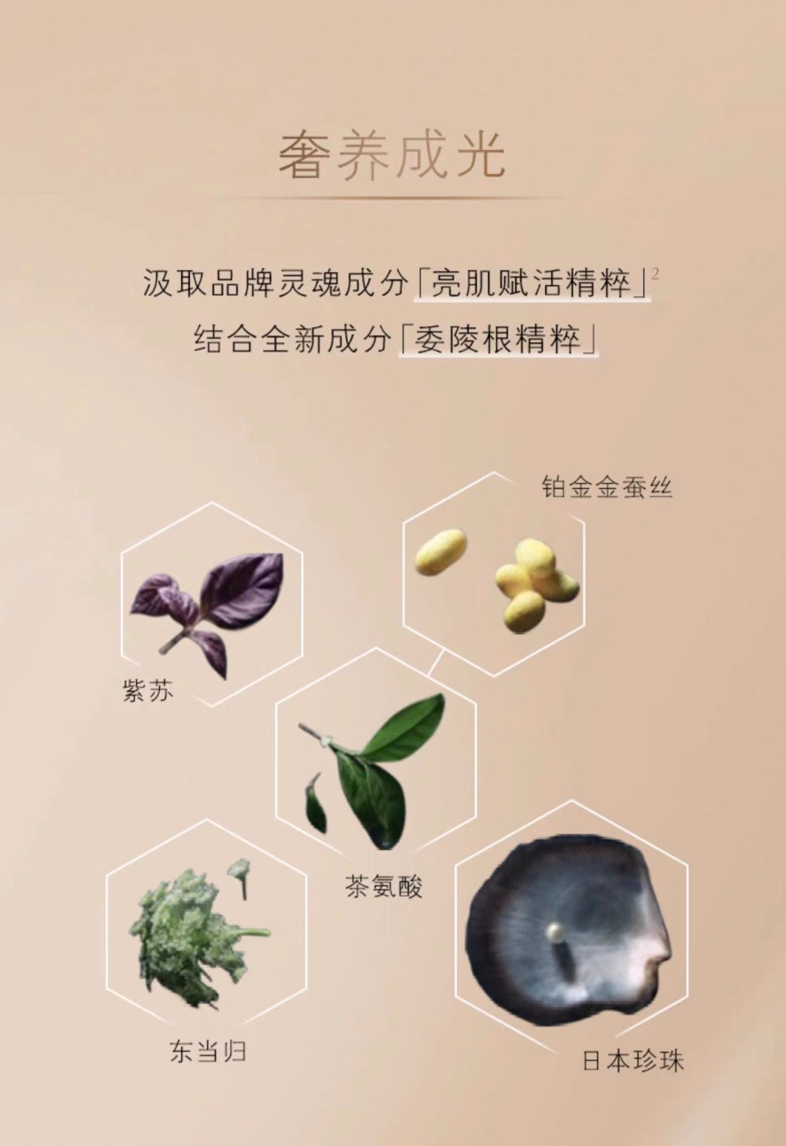 CLE DE PEAU BEAUTE CPB钻光粉霜25g