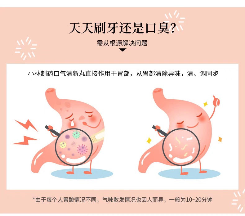 小林制药口气清新丸50粒装 4种口味选