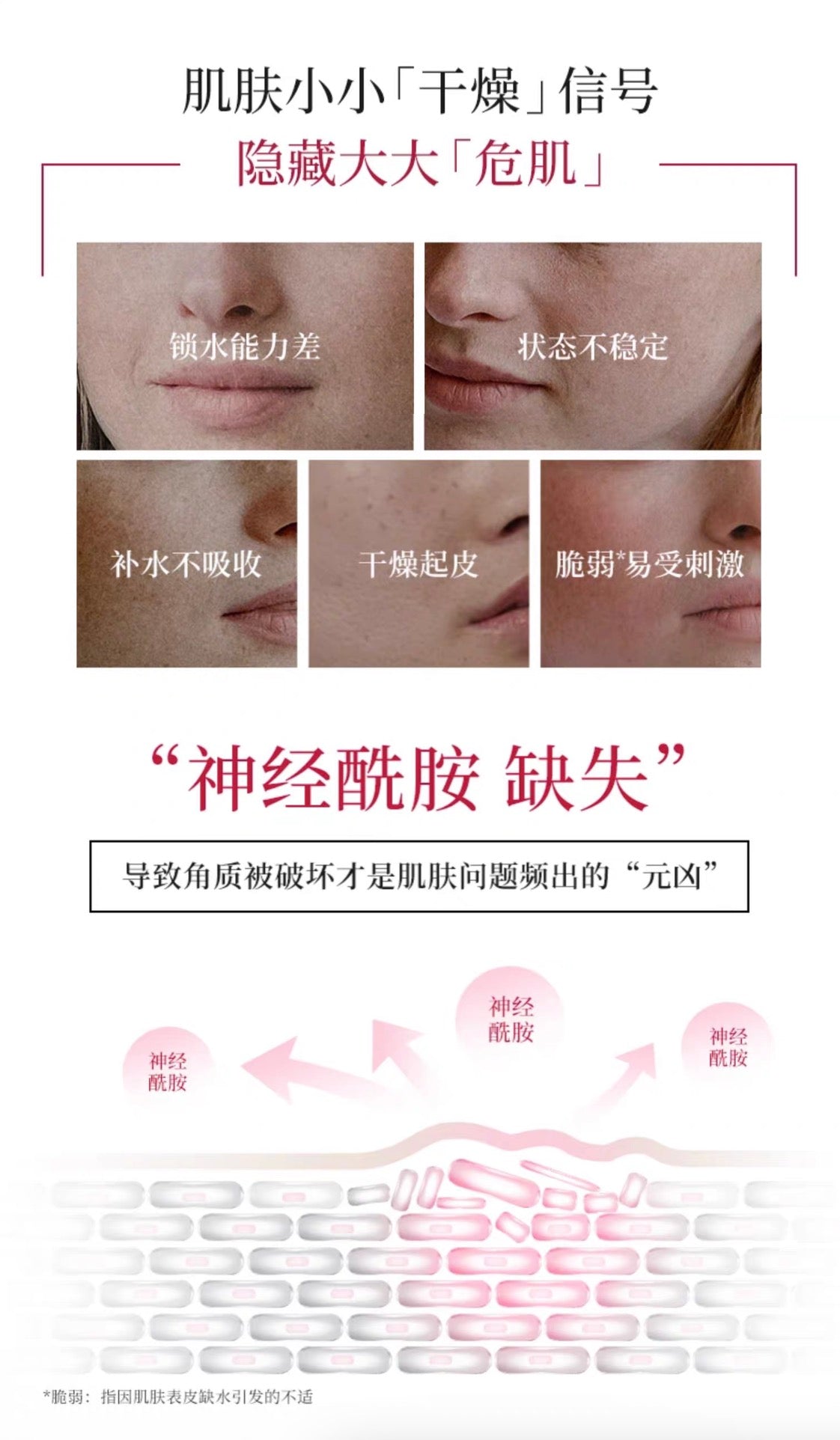 TUNEMAKERS神经酰胺原液精华液补水保湿修护肌肤屏障精华20ml