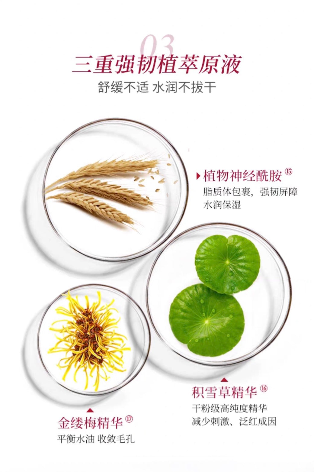 TUNEMAKERS清洁泥膜涂抹面膜舒缓保湿控油温和去角质100g