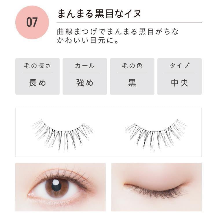 KOJI Dolly Wink 动物主题10秒速戴超自然沙龙假睫毛2对装 12种选