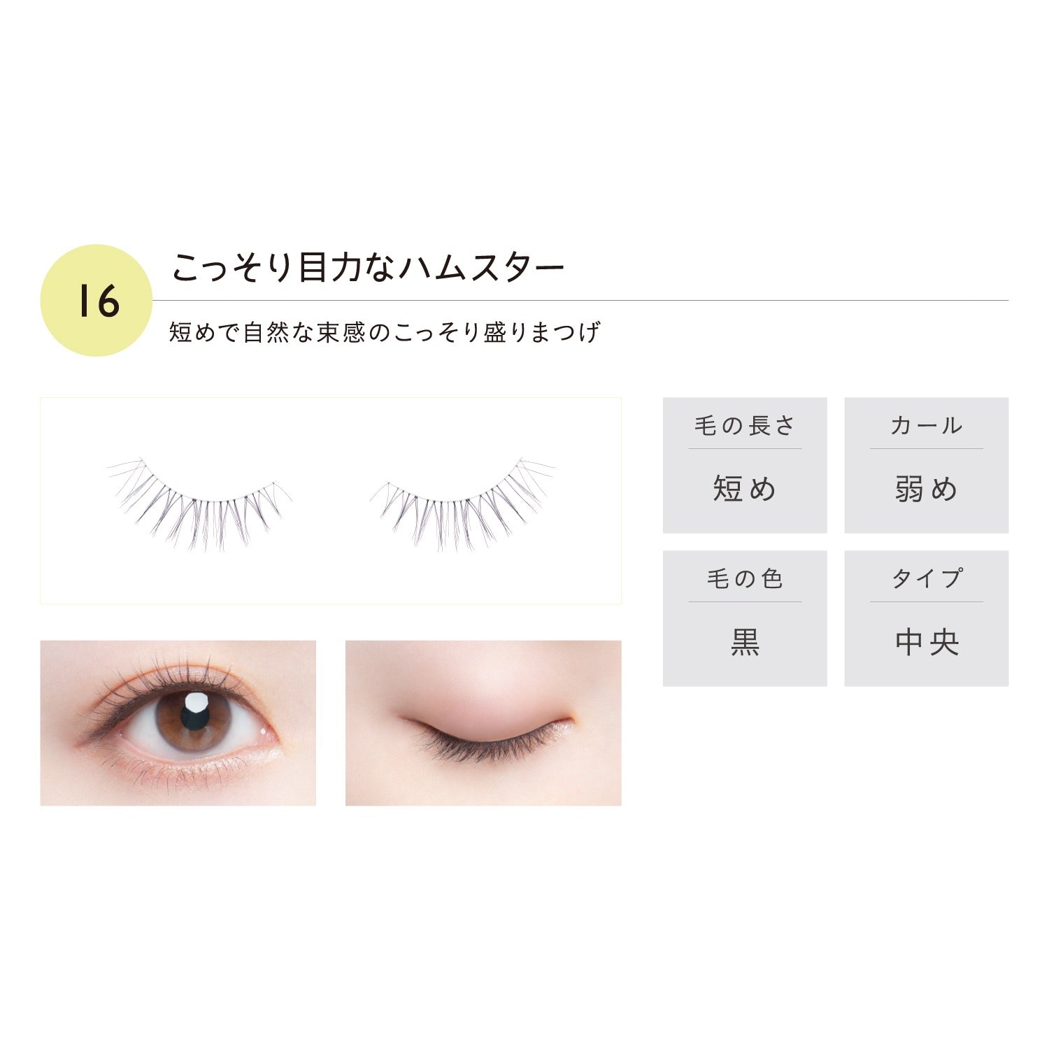 KOJI Dolly Wink 动物主题10秒速戴超自然沙龙假睫毛2对装 12种选