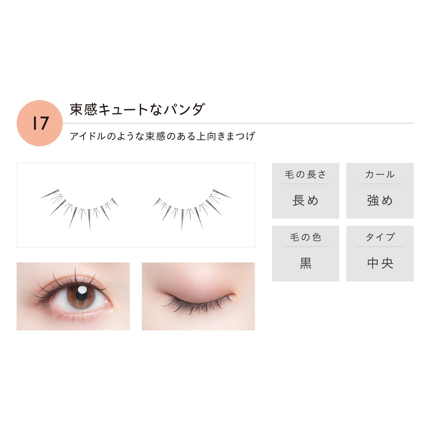 KOJI Dolly Wink 动物主题10秒速戴超自然沙龙假睫毛2对装 12种选
