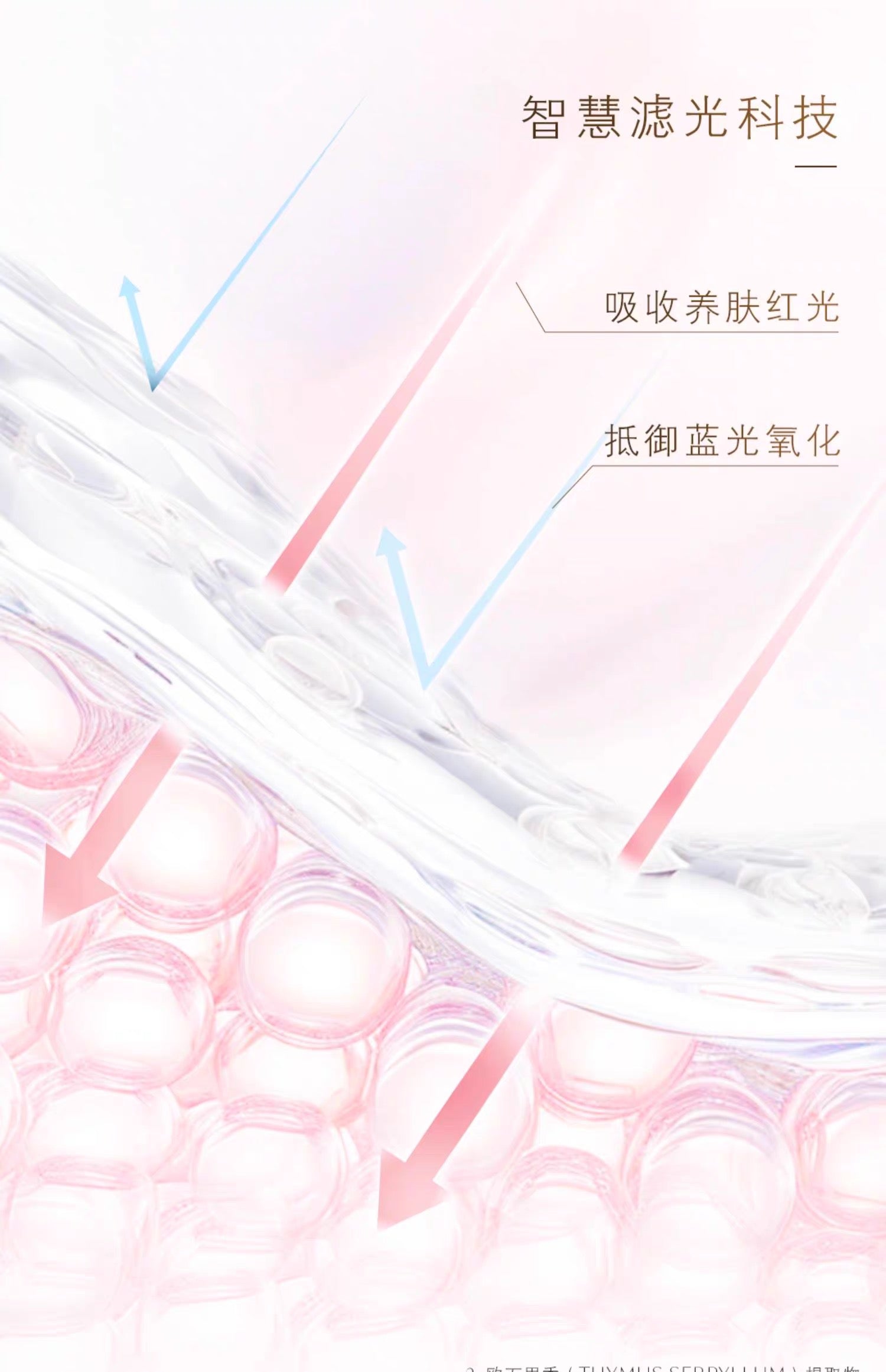 CLE DE PEAU BEAUTE CPB新款防晒50g