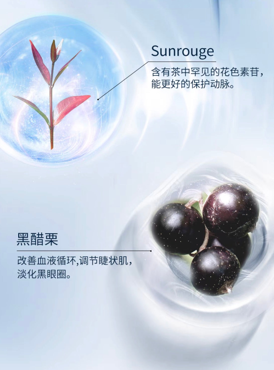 POLA新版护眼丸180粒/3个月装