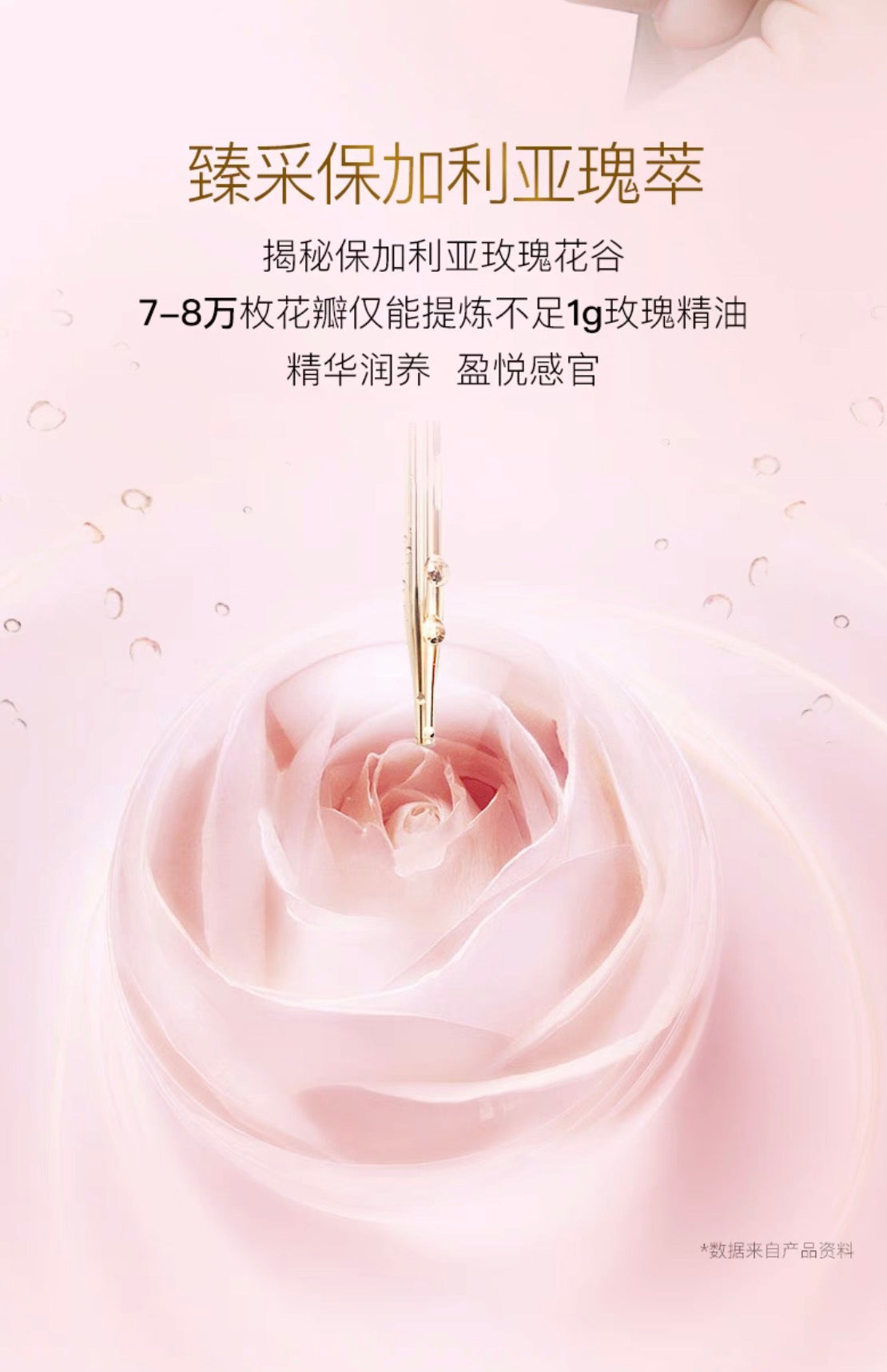 NOEVIR诺薇雅精纯养肤蜜粉定妆保湿柔焦感散粉23g