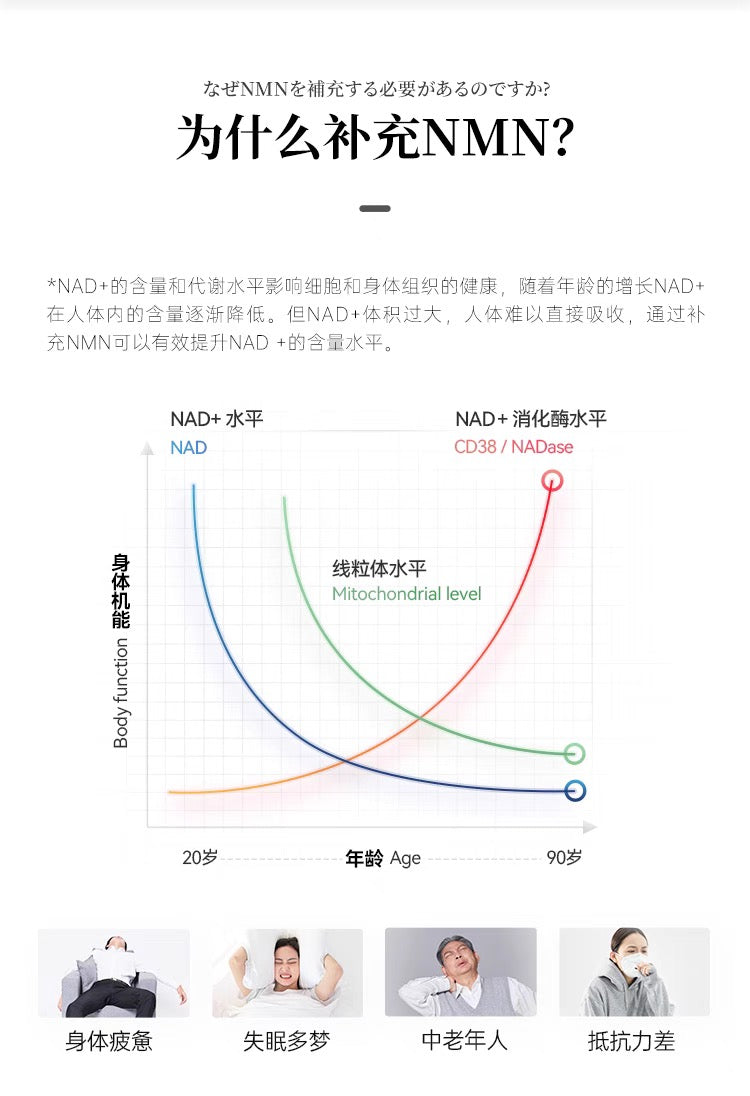 明治制药NMN10000 Plus