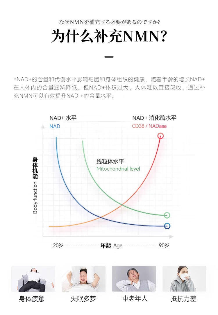 明治制药NMN20000 Plus
