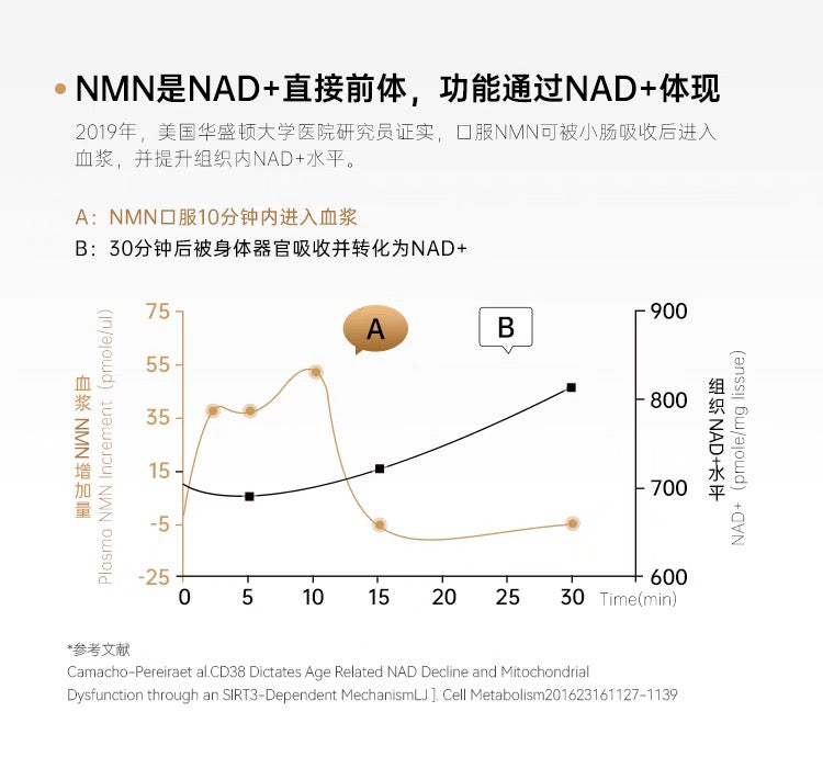 明治制药NMN20000 Plus