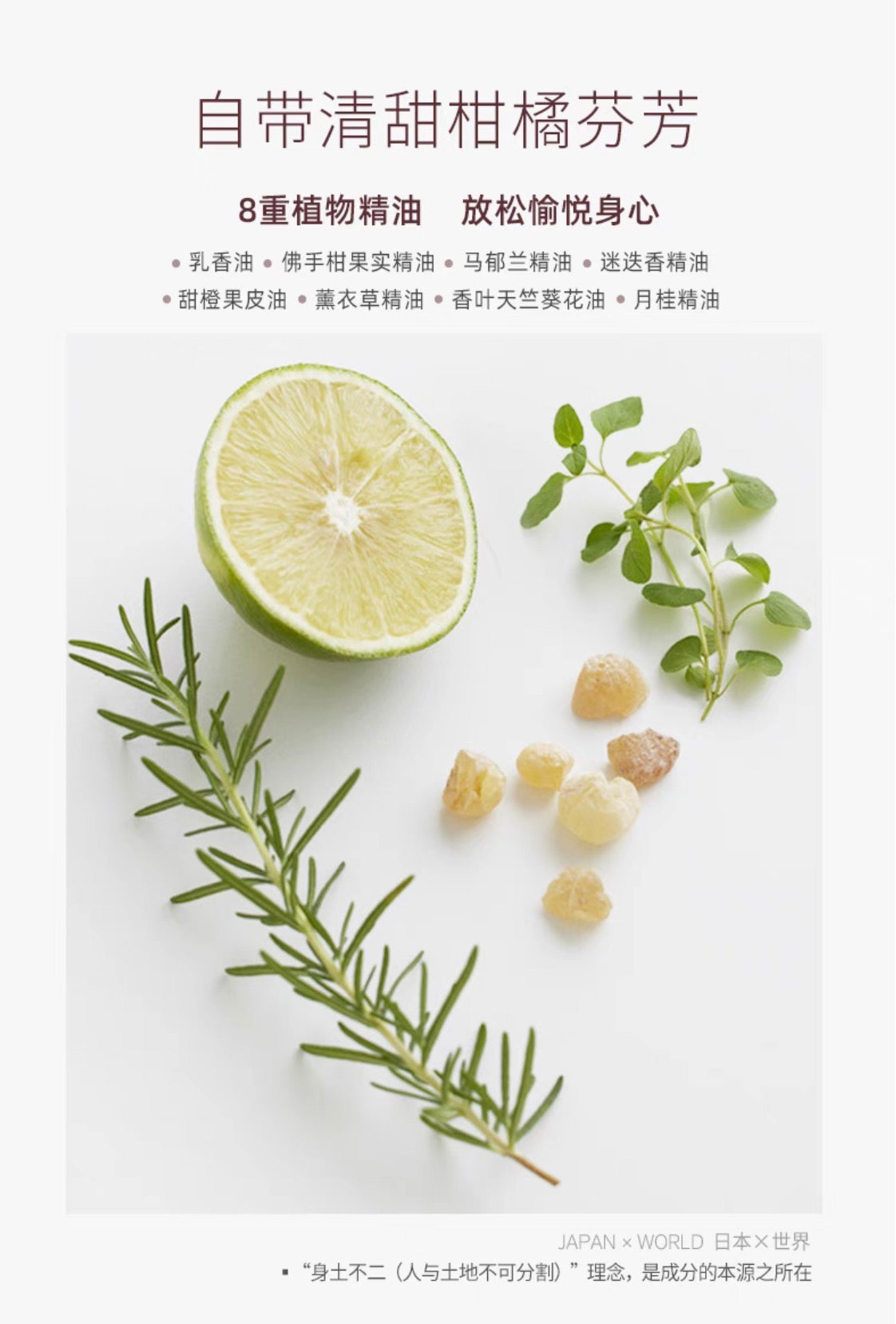 THREE平衡萃润滋养洁面乳100g