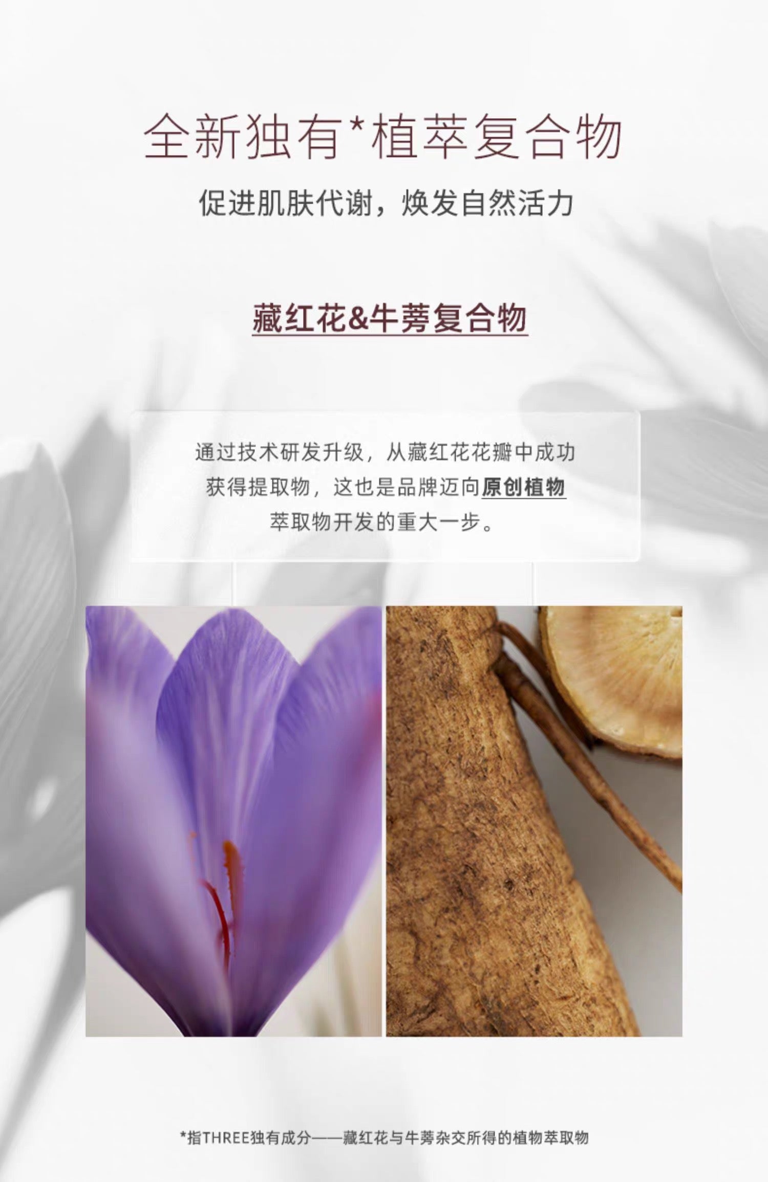 THREE平衡萃润乳液80ml 滋润型/清爽型