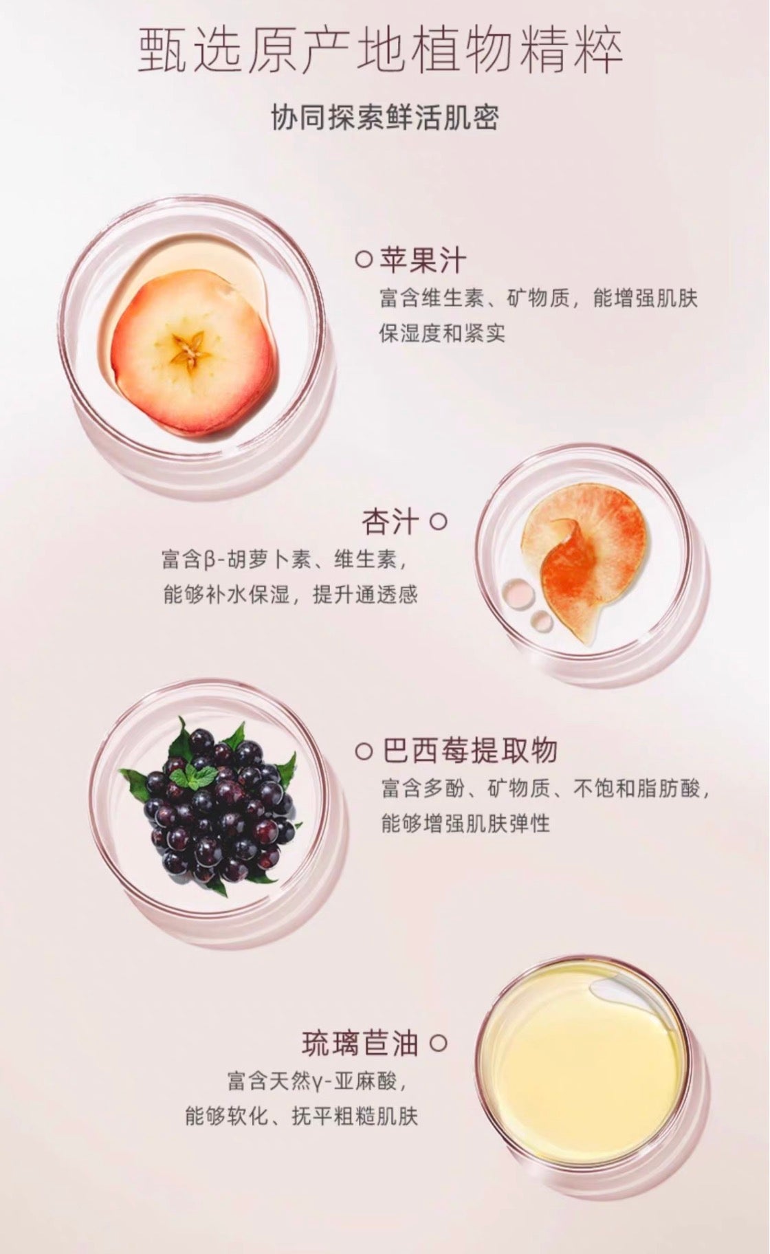 THREE平衡萃润乳液80ml 滋润型/清爽型