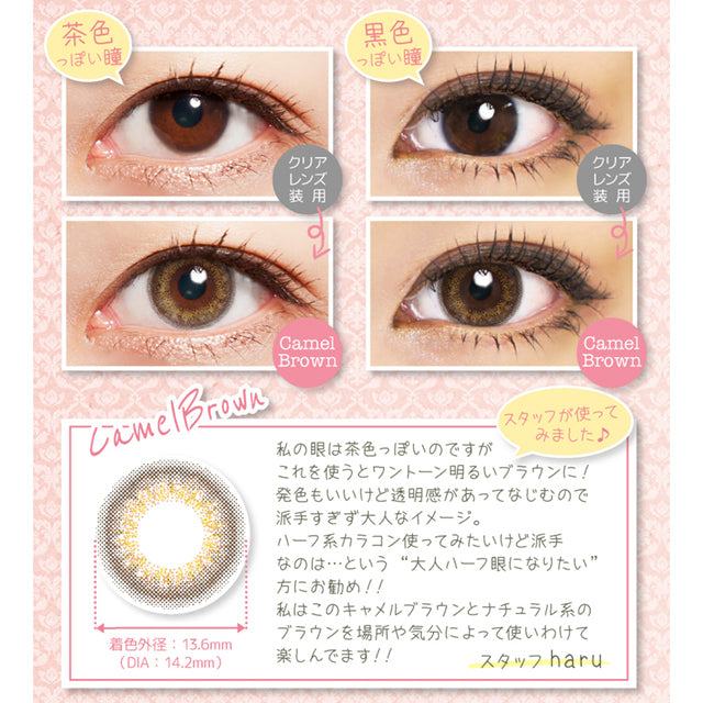 双周抛美瞳2WEEK Ruthchiffon ZERU 一盒6片装 Camel Brown